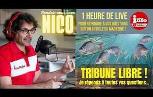 TRIBUNE LIBRE ! (Février 2026)