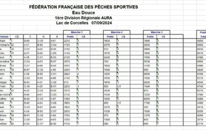 Championnat R1 mixte Rhône-Alpes - 01 Ain